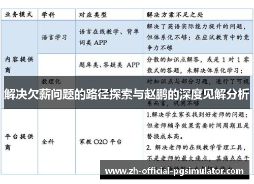 解决欠薪问题的路径探索与赵鹏的深度见解分析