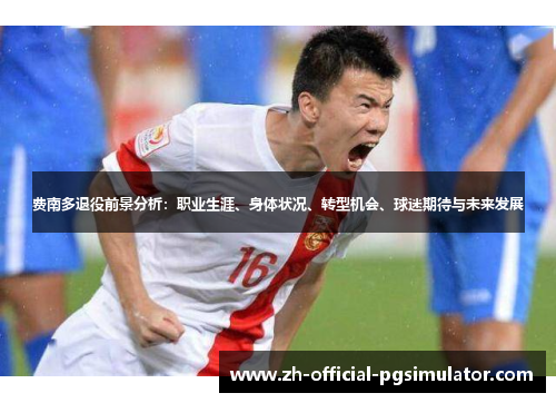 费南多退役前景分析:职业生涯、身体状况、转型机会、球迷期待与未来发展 费南多退役前景分析:职业生涯、身体状况、转型机会、球迷期待与未来发展