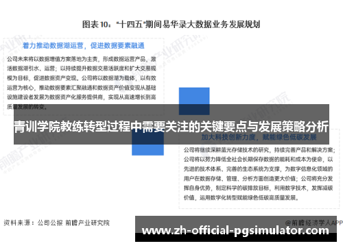 青训学院教练转型过程中需要关注的关键要点与发展策略分析 青训学院教练转型过程中需要关注的关键要点与发展策略分析