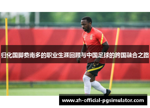 归化国脚费南多的职业生涯回顾与中国足球的跨国融合之路