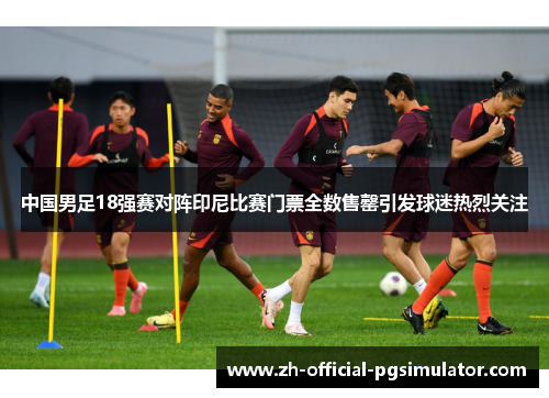 中国男足18强赛对阵印尼比赛门票全数售罄引发球迷热烈关注