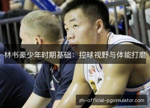 林书豪少年时期基础:控球视野与体能打磨 林书豪少年时期基础:控球视野与体能打磨