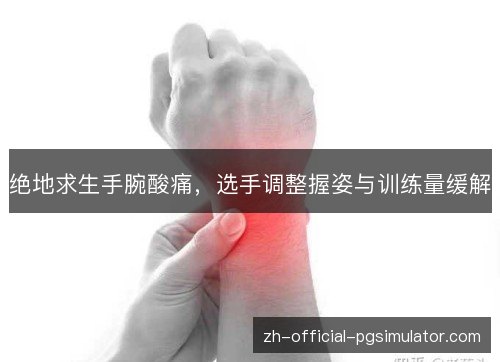 绝地求生手腕酸痛,选手调整握姿与训练量缓解 绝地求生手腕酸痛,选手调整握姿与训练量缓解