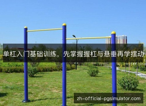 单杠入门基础训练,先掌握握杠与悬垂再学摆动 单杠入门基础训练,先掌握握杠与悬垂再学摆动